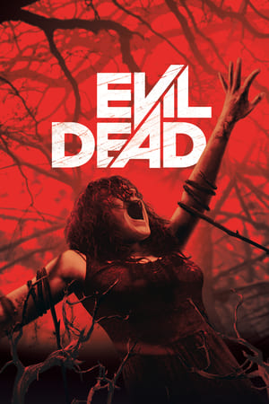 Evil Dead 2013 Hindi Dual Audio 300MB