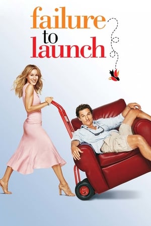 Failure to Launch 2006 Hindi Dual Audio [850MB]