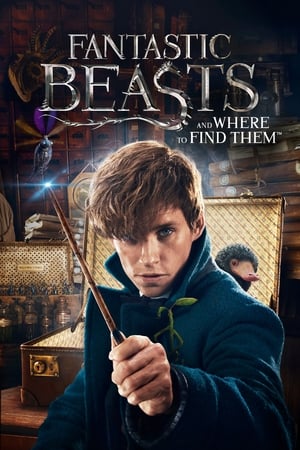 Fantastic Beasts and Where to Find Them 2016 Full Movie HC [] [1GB]