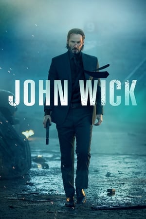 John wick 2014 100mb Hindi Dual Audio movie Download