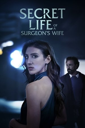 Secret Life of a Surgeon's Wife (2025) Hindi (MULTI AUDIO) – – 1080p