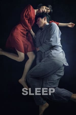 Sleep (2023) Hindi Dual Audio – 720p –