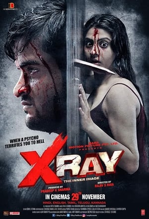 X Ray The Inner Image 2019 Hindi Movie [900MB]